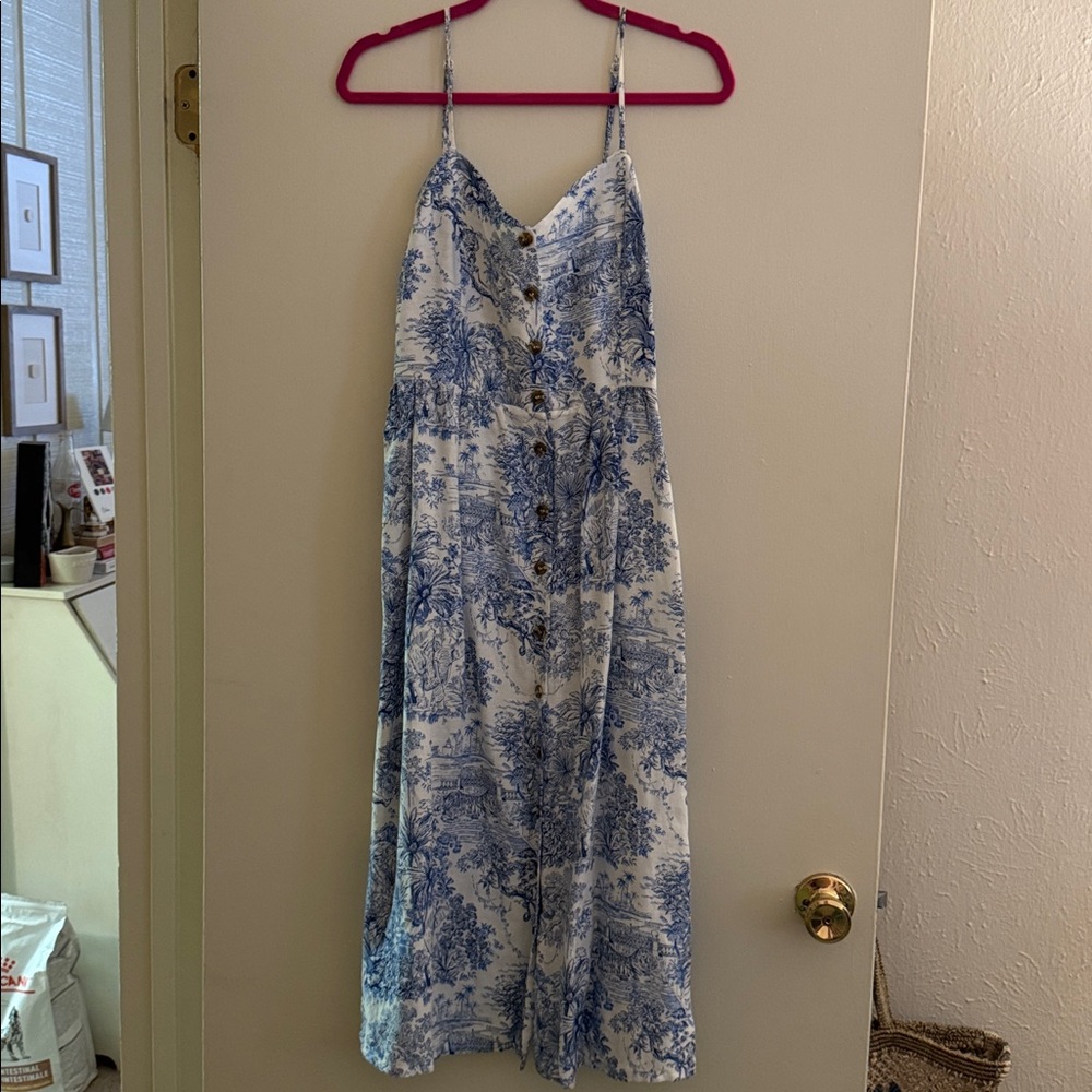 H&M Blue and White Toile Dress